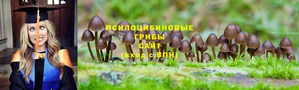 соль ск Балахна
