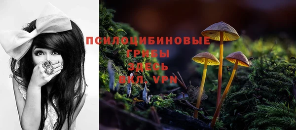 герыч Белокуриха
